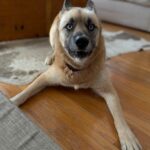 The current image has no alternative text. The file name is: 0-3-5836e57c239155ce83c702e62c0fdc80.jpg