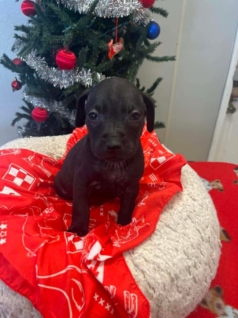 The current image has no alternative text. The file name is: 871918a2c7e0ce7c6dec944a588719f8-ade773da557d076810e02071daa83e3b.jpeg