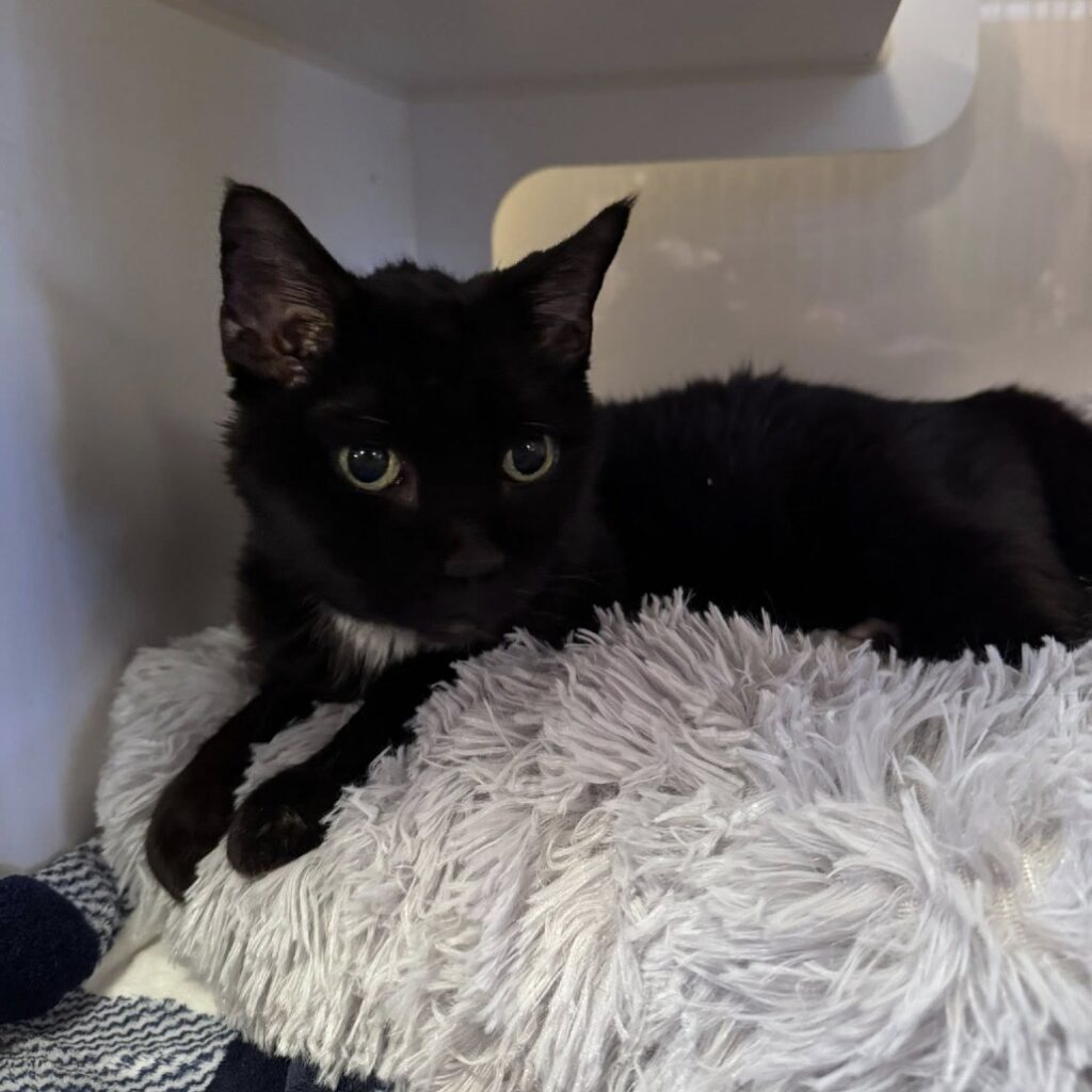 The current image has no alternative text. The file name is: IMG_0721-cddb48e501d454d6e442c1b6e973b452.jpeg