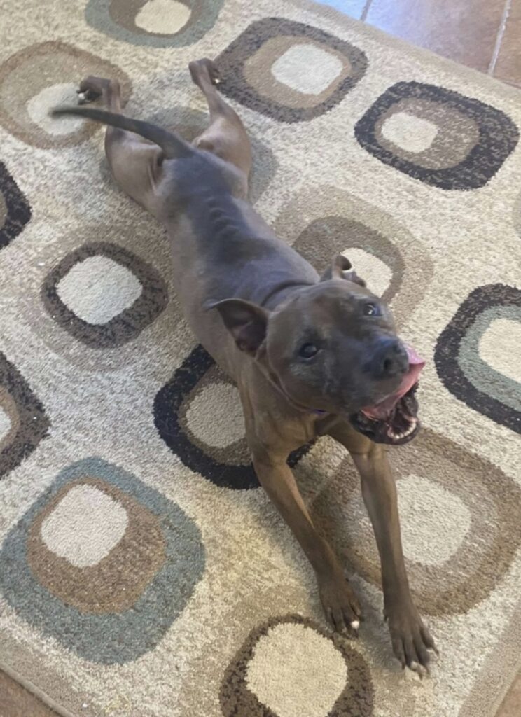 The current image has no alternative text. The file name is: IMG_2297-a14b7e9ece9a66e16503d4a8a72af91a.jpeg