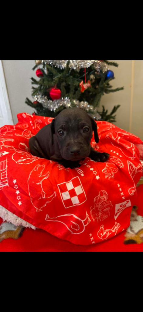 The current image has no alternative text. The file name is: IMG_2321-01eb5afe82081ea3d14849d6afa80384-scaled.png