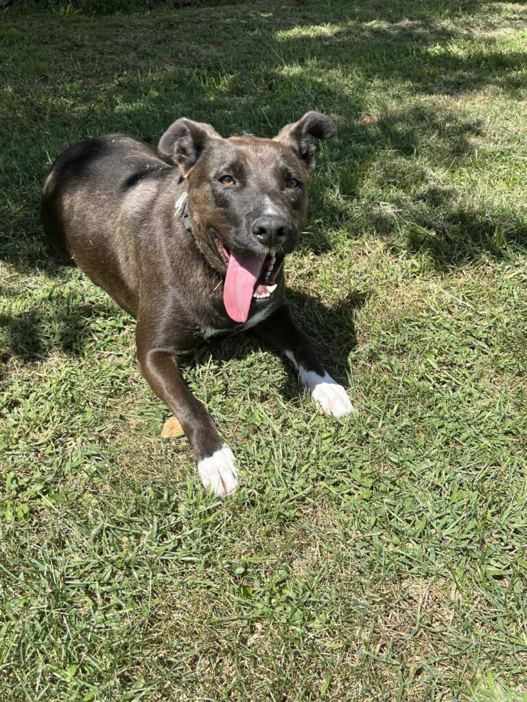 The current image has no alternative text. The file name is: a6134a3052315c709f8f9406c3e6e397-705aab17042a15f5867034eade87977d.jpeg