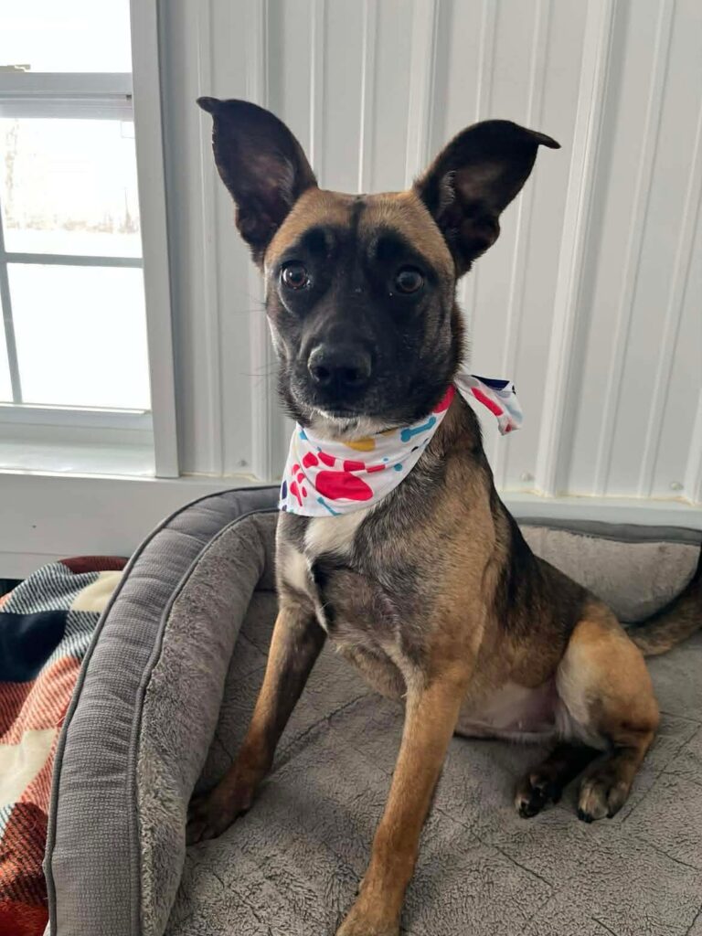 The current image has no alternative text. The file name is: d4068e1e39be3aece6614a12ec3855b4-dba954084941b198edf7cda272487fa5.jpeg